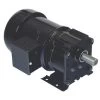 Bison 016-200-8023 Gear Motor 1/15 Hp 70 RPM 115/230V 60 HZ.