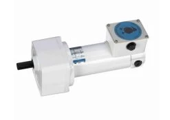 M1125269.00 Leeson 1/4 Hp 42 RPM 90 VDC 32 Frame (Rigid Base) TENV Wash-Down Gearmotor